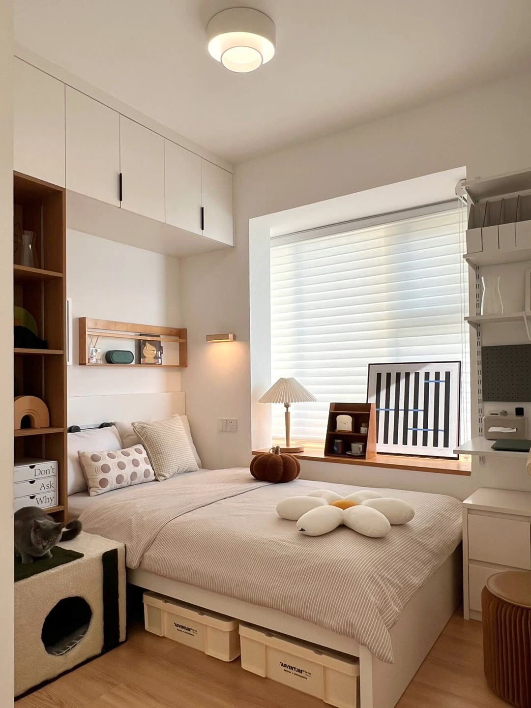 小户型必看：榻榻米把 “睡、学、囤” 揉进 10㎡里