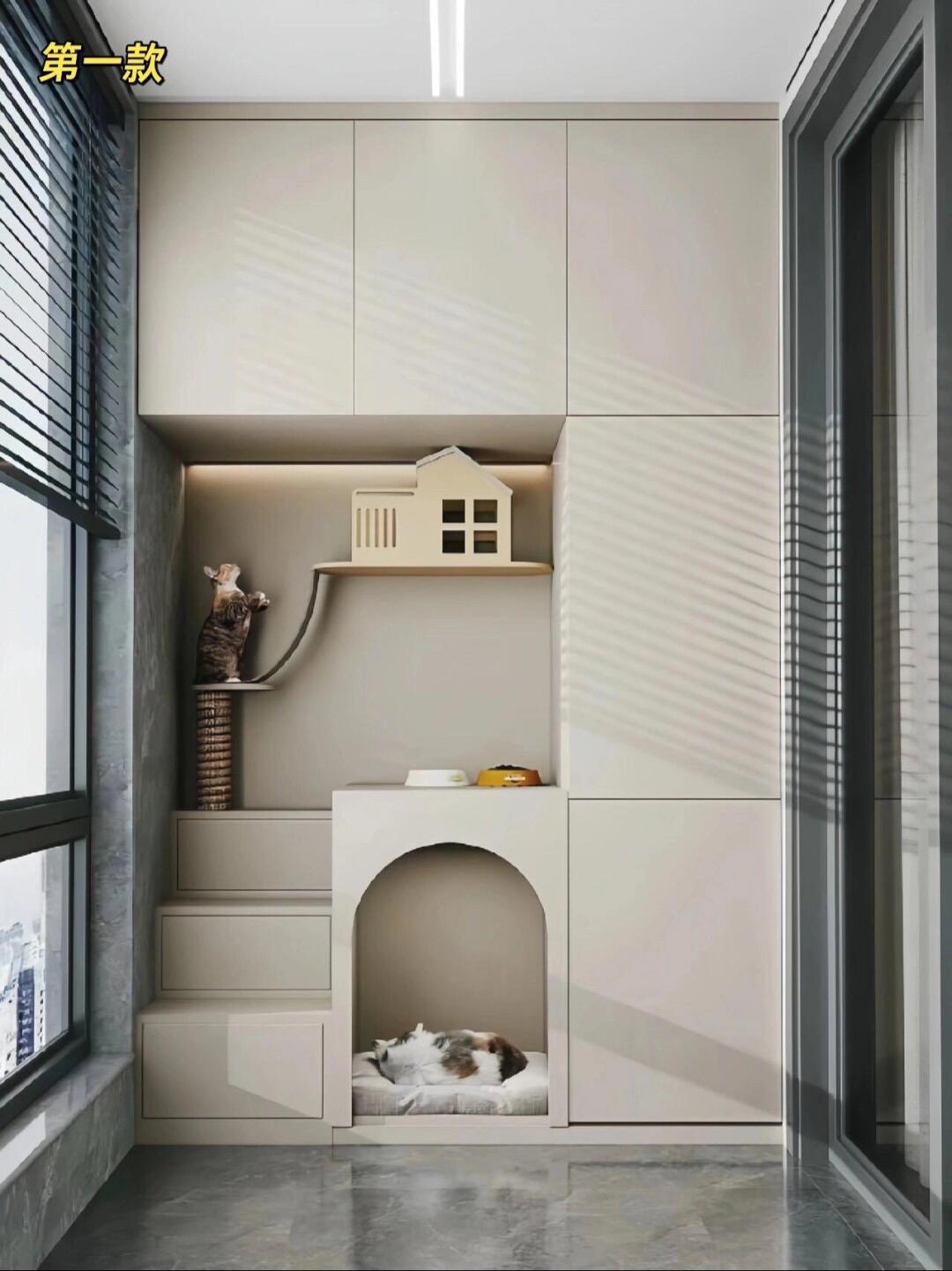 养猫家庭必看｜这样做猫柜才高级